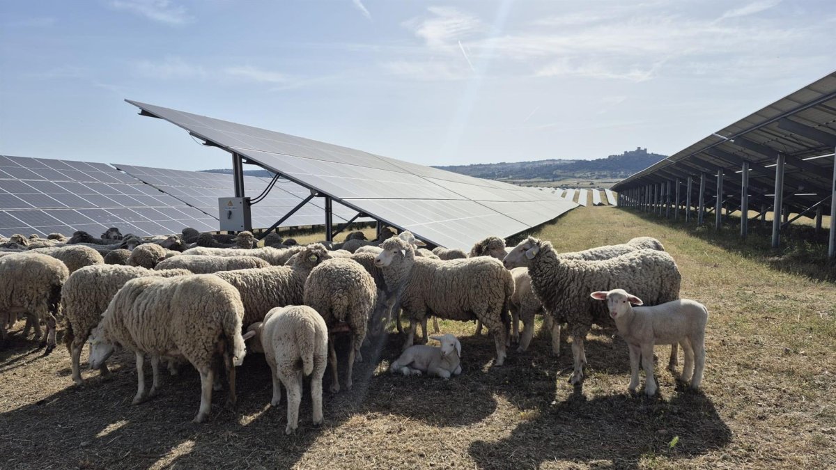 Iberdrola se adjudica ocho proyectos de Bruselas para electrificar 150 MW en la industria por 50 millones