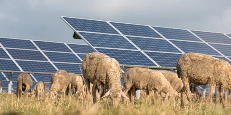Un nuevo mapa muestra que la energía solar utiliza solo el 0,07 % de las mejores tierras agrícolas de EEUU
