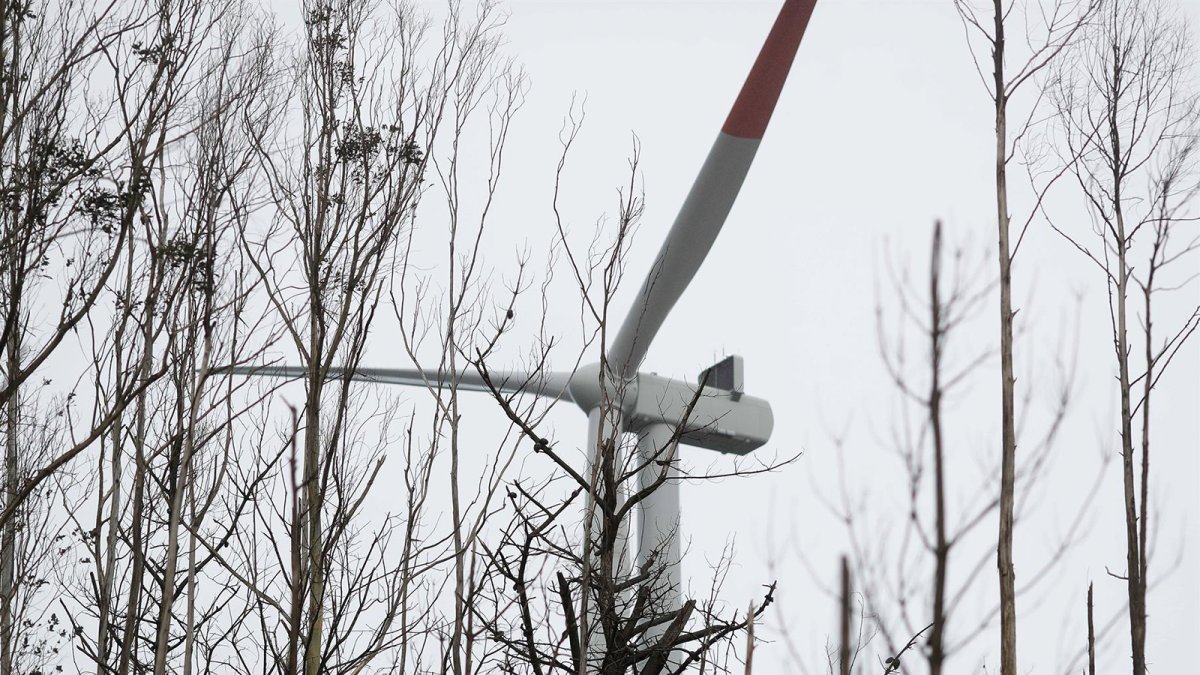 España se sitúa entre los países con mayor peso de las renovables en la generación eléctrica
