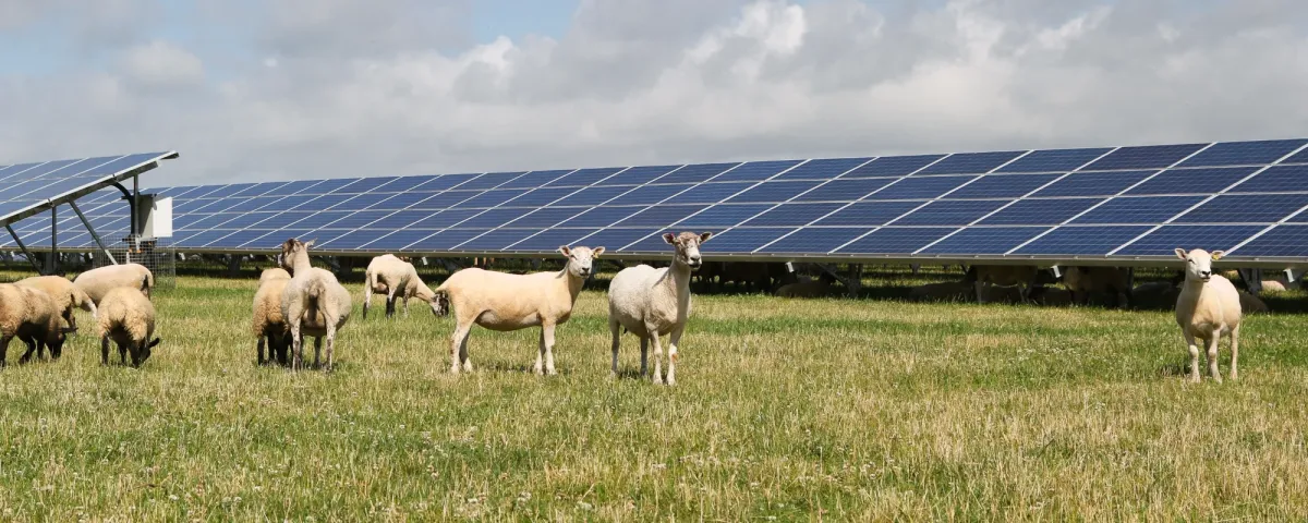 Lightsource bp obtiene la aprobación para una planta solar de 102 MW en Irlanda