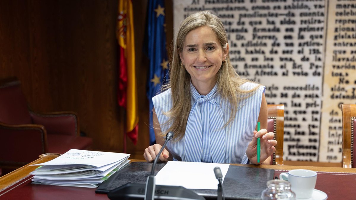 Aagesen asegura que "nunca" recibió indicación de Moncloa en los préstamos a Air Europa y Tubos Reunidos