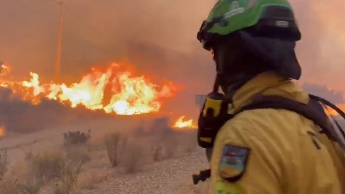 Once muertos, ocho heridos y al menos 19 no localizados en el incendio forestal de Los Gallardos