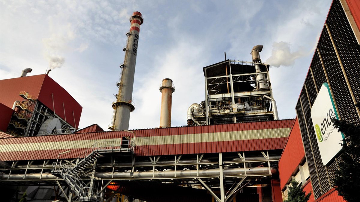 Ence culmina en Navia la modernización de su parque de madera y mejoras energéticas tras invertir 48 millones