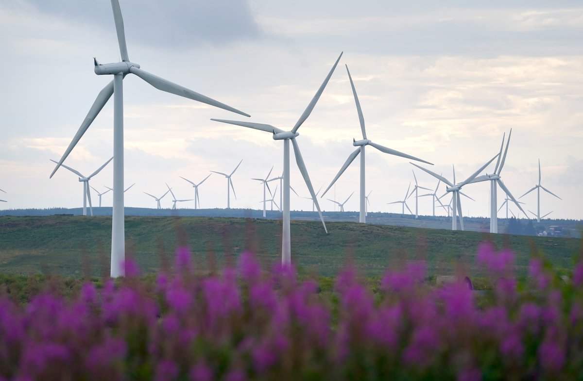 SSE aumentó un 31% su producción de energías renovables en el primer trimestre
