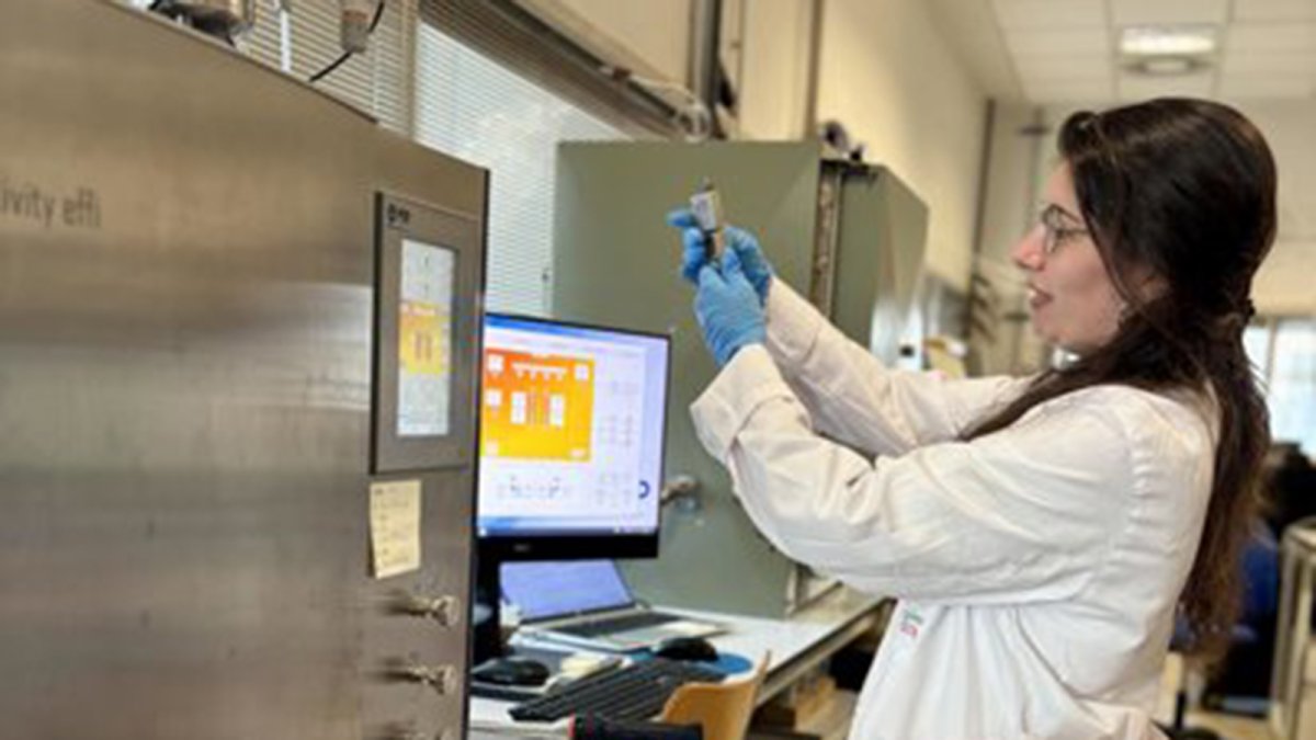 Desarrollan una tecnología que convierte huesos de aceituna en gas natural sintético