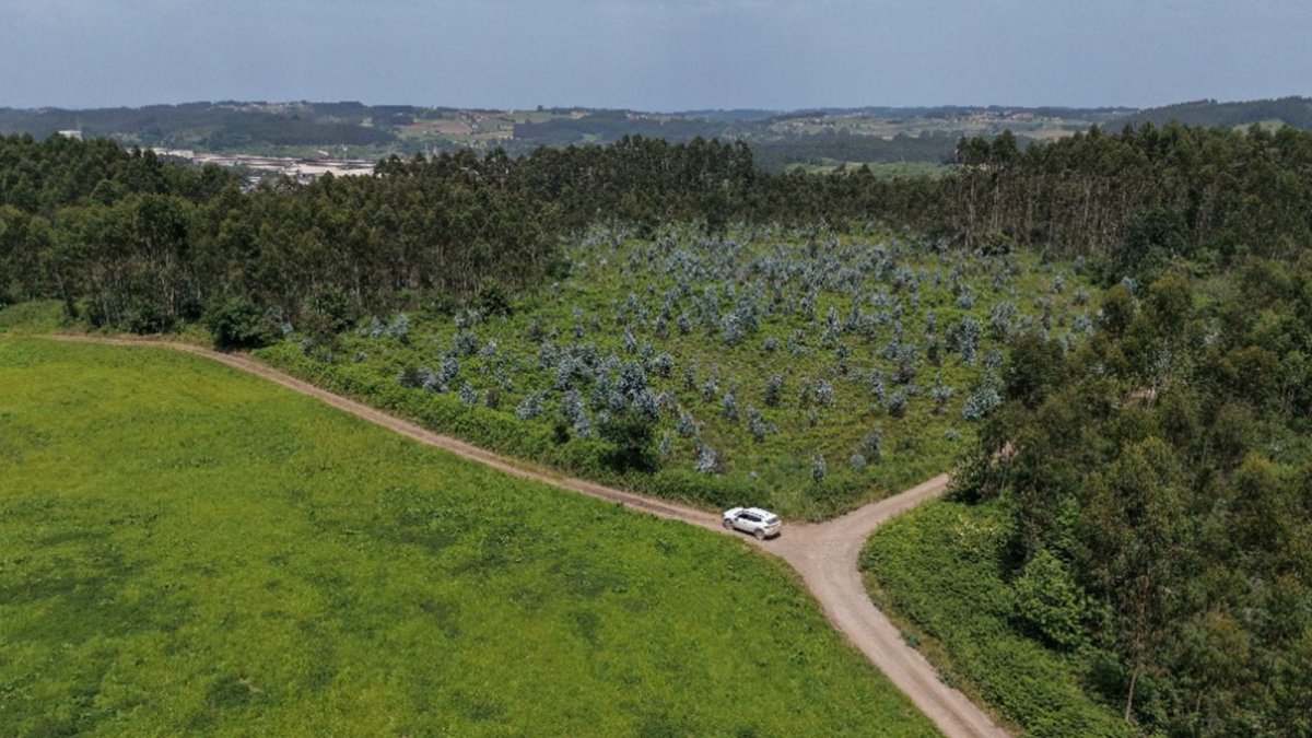 Red Eléctrica inicia las obras del Anillo eléctrico Central de Asturias con la subestación de Cardoso