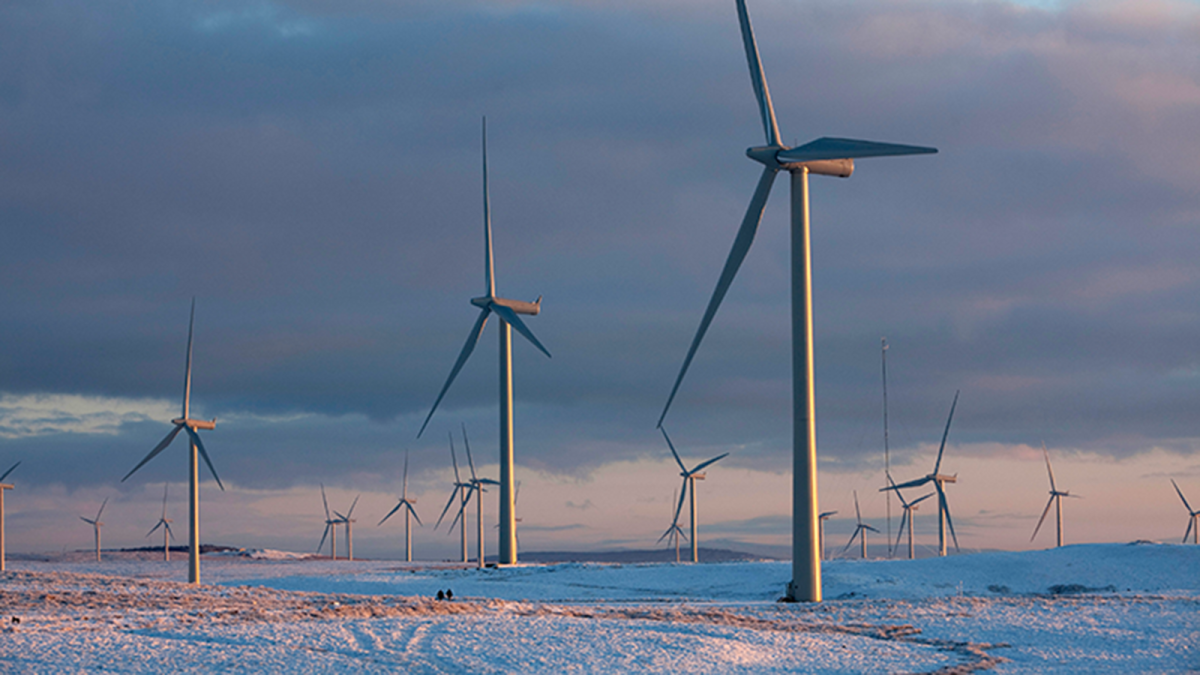 Iberdrola planea duplicar la capacidad de Whitelee, el mayor parque eólico terrestre de Reino Unido