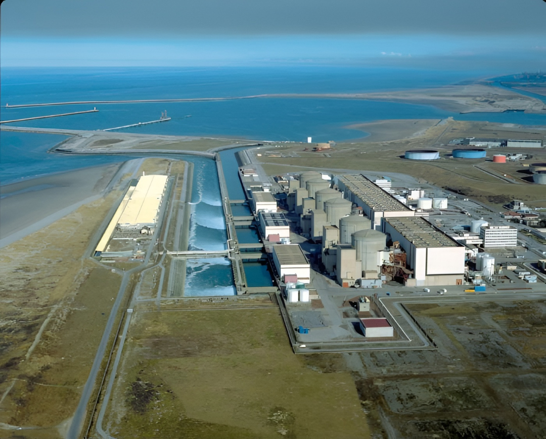 Las medusas obligan a parar tres reactores de una central nuclear francesa