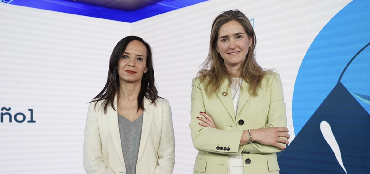 El Gobierno premia a Red Eléctrica con 600 millones para nuevos dispositivos antiapagones a pesar de las críticas de CNMC y sector