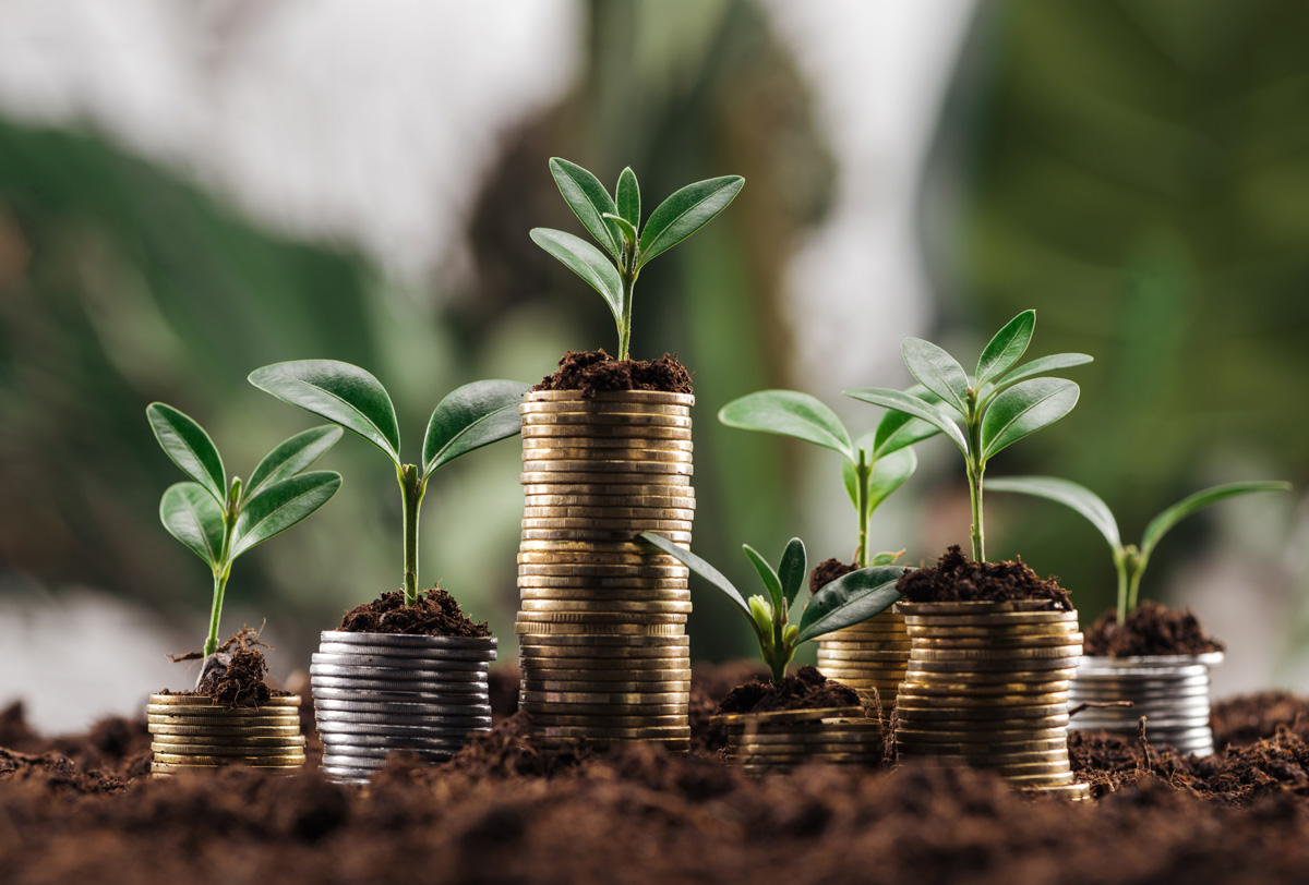 Los bancos europeos no logran aprovechar el potencial de los bonos verdes