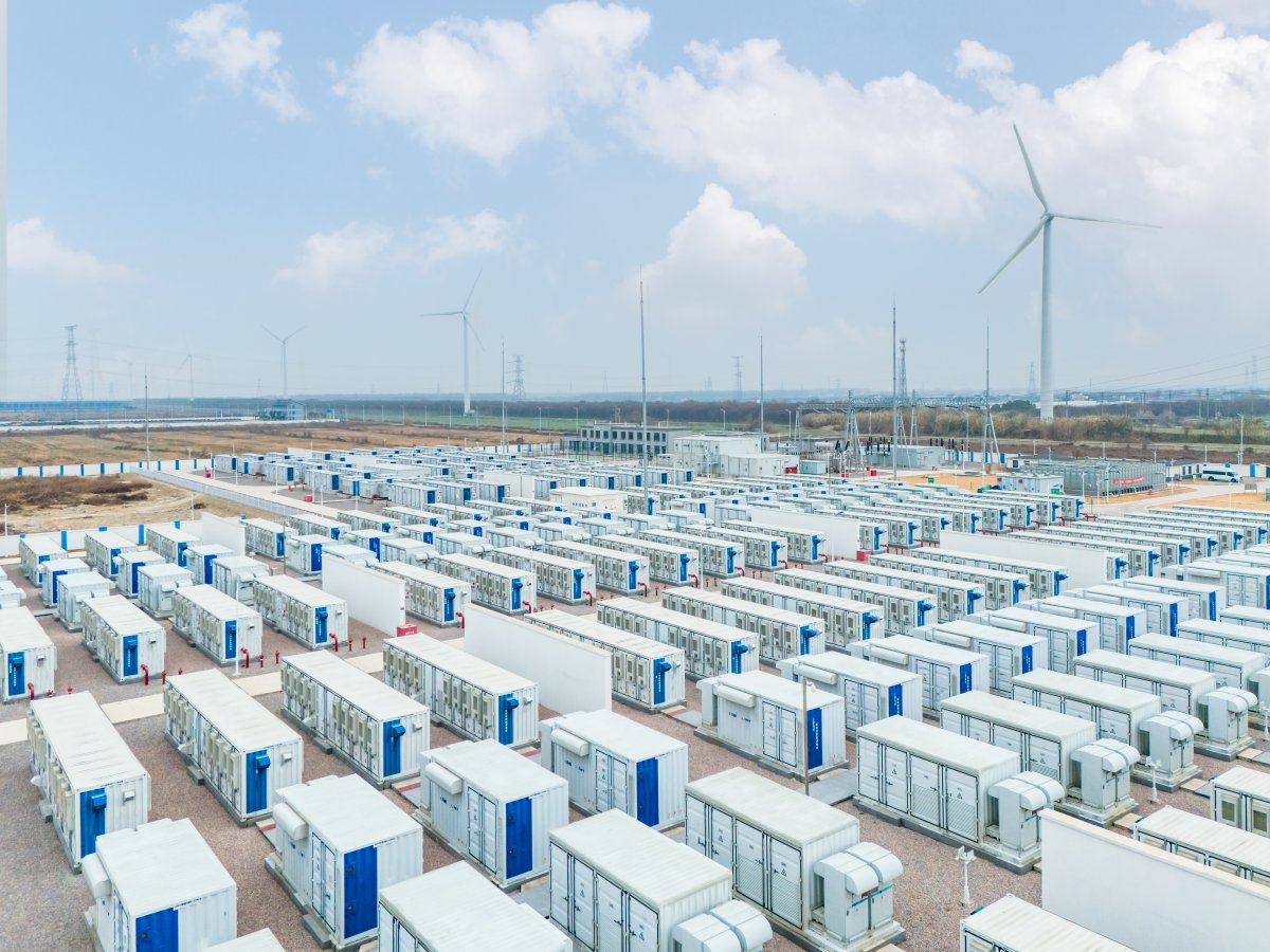 Octopus quiere construir el mayor proyecto de baterías de Australia, con hasta 4.800 MWh