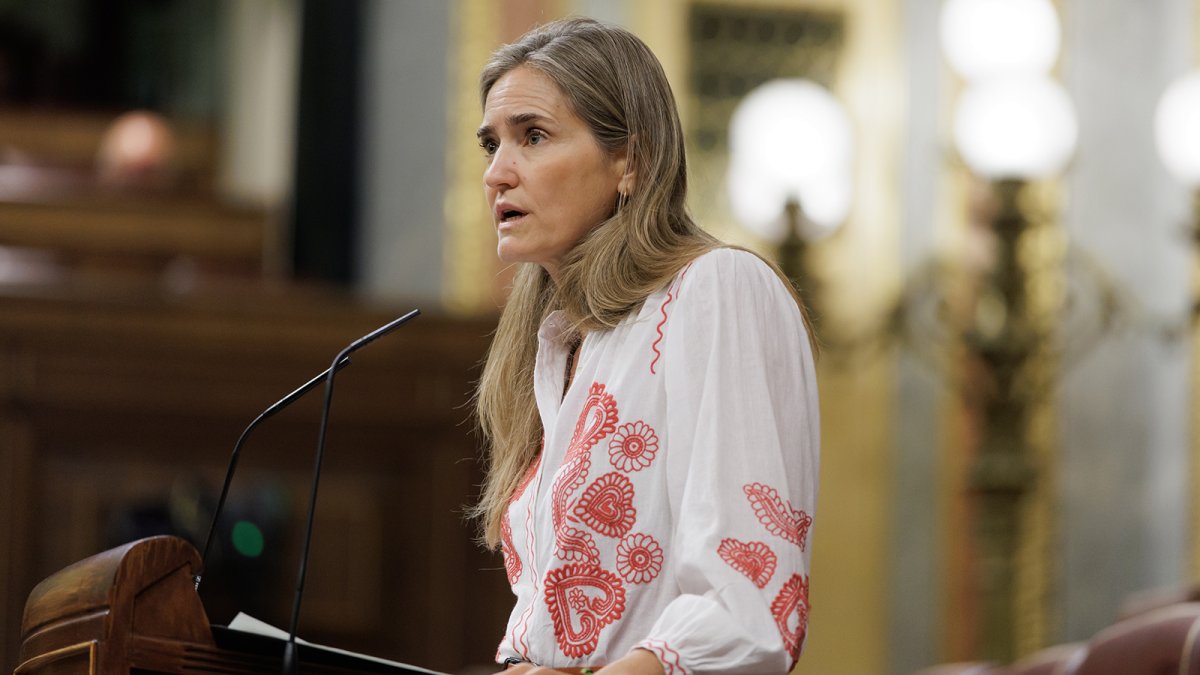 El Gobierno abre la consulta pública previa de un nuevo programa de ayudas a la recarga eléctrica en carreteras dotado con 150 millones