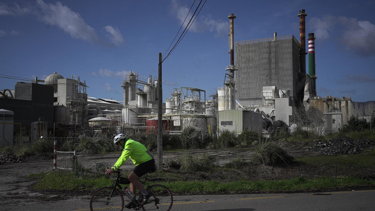 Ence inicia su parada anual en la fábrica de Pontevedra hasta el día 25, con una inversión de 13 millones
