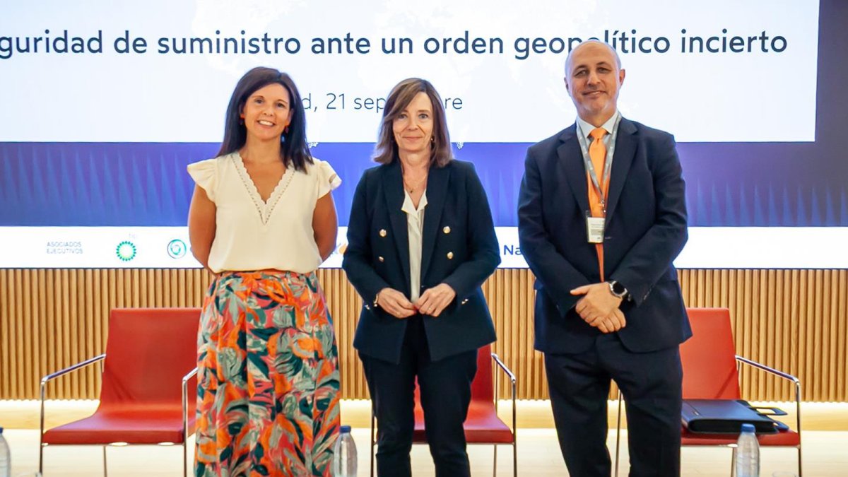 El sector energético ve las renovables y la electrificación como pilares para la seguridad de suministro