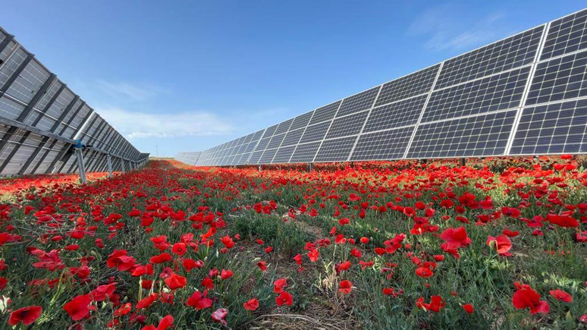 Solaria proyecta dos nuevos parques solares en Álava tras decaer los anteriores