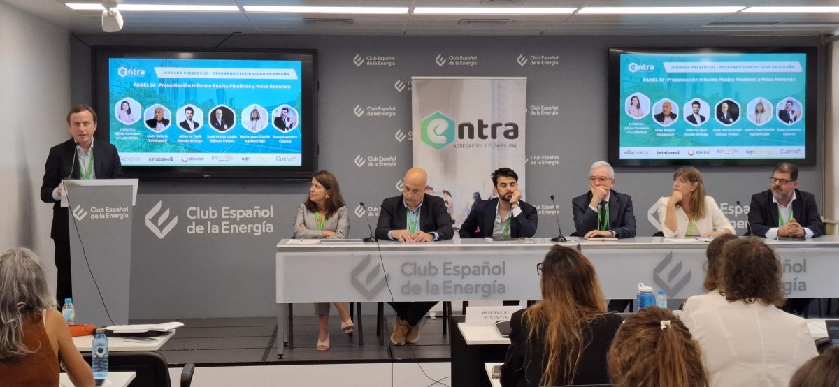 ENTRA propone reducir hasta un 50% la parte incremental del peaje de potencia para impulsar las conexiones flexibles