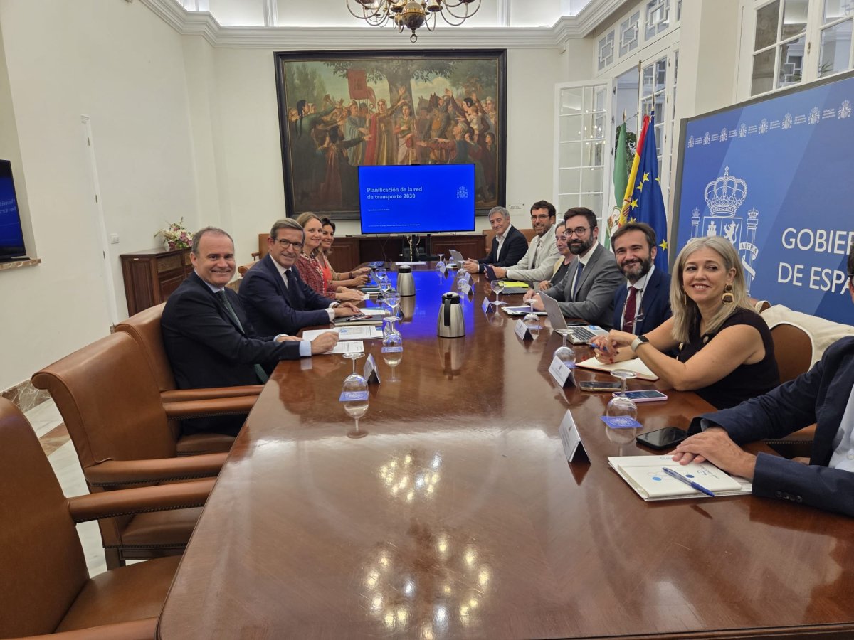 Joan Groizard avanza el resultado de la nueva Propuesta de planificación de electricidad con horizonte 2030 en Andalucía tras las alegaciones