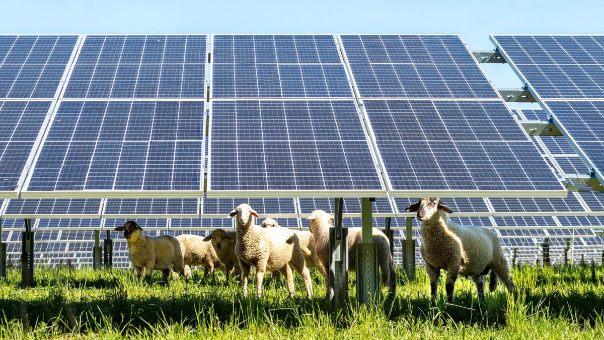 La energía solar ha ahorrado más de 17.000 millones de euros a los consumidores españoles en solo 18 meses