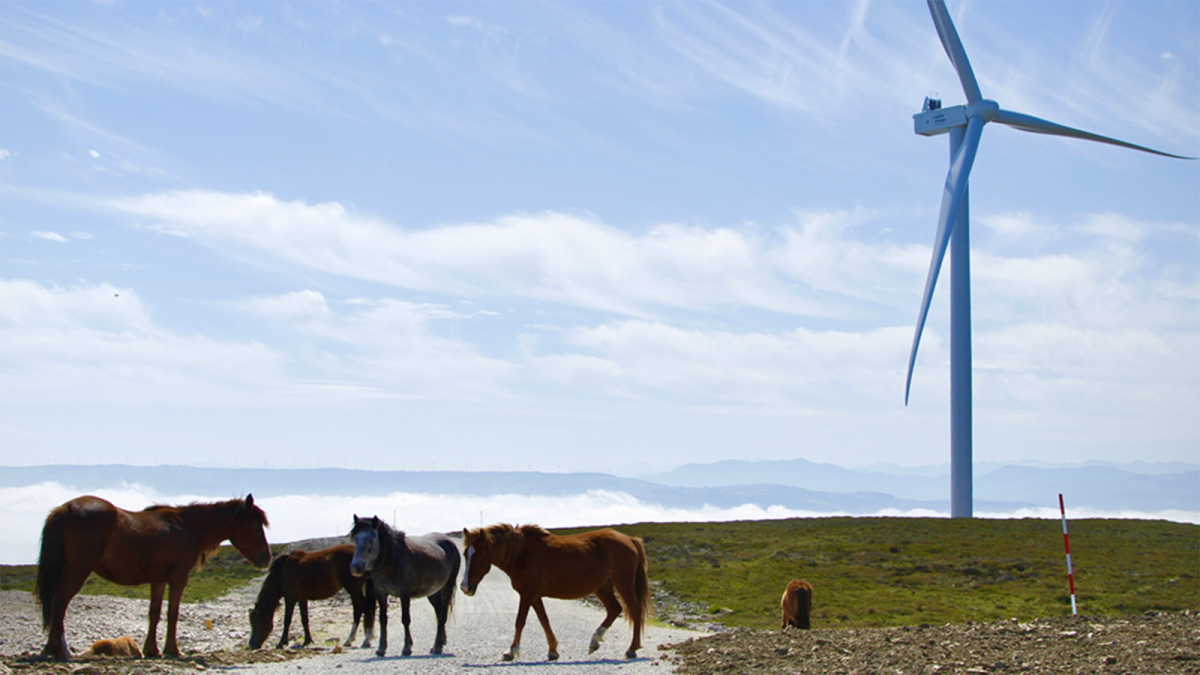 Green Capital Power renuncia a construir el parque eólico 'Jarindo'