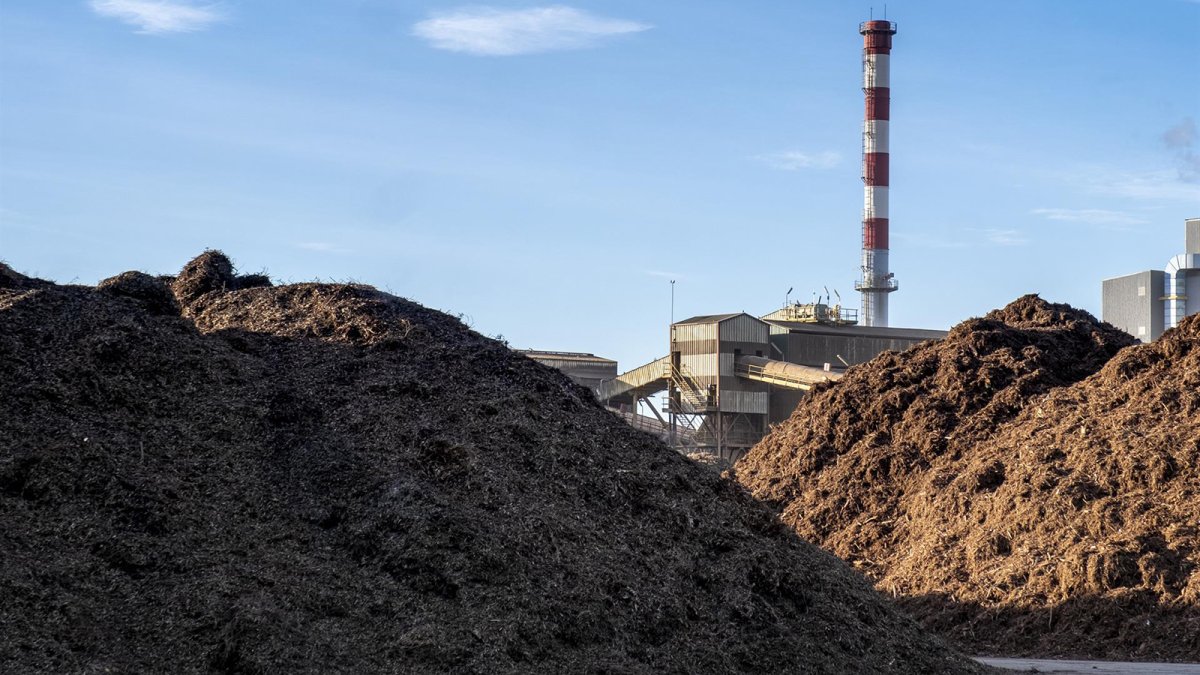 El Ejecutivo refuerza los criterios de sostenibilidad de los biocarburantes y la biomasa