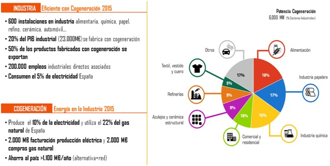 Las aportaciones de la cogeneración en España.