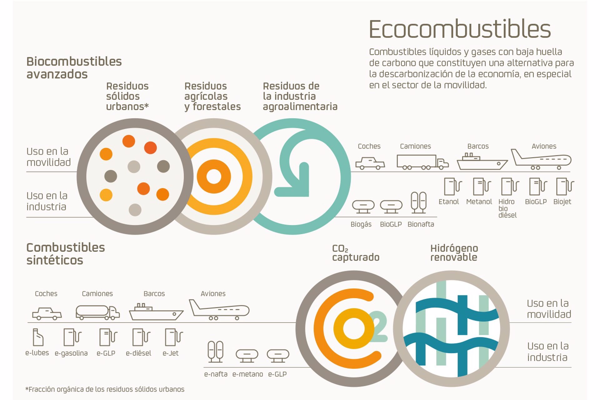 05/02/2021 Infografía de Repsol y los ecocombustibles
ECONOMIA
REPSOL