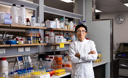 El profesor Lianzhou Wang en el laboratorio de la Universidad de Queensland. Foto: UQ