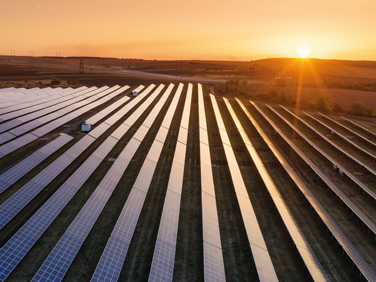 Planta solar fotovoltaica de GreenVolt. FOTO: GreenVolt