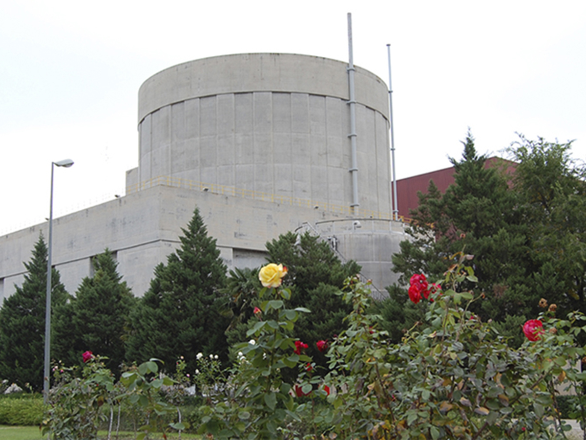 Central nuclear de Cofrentes. FOTO: AMAC