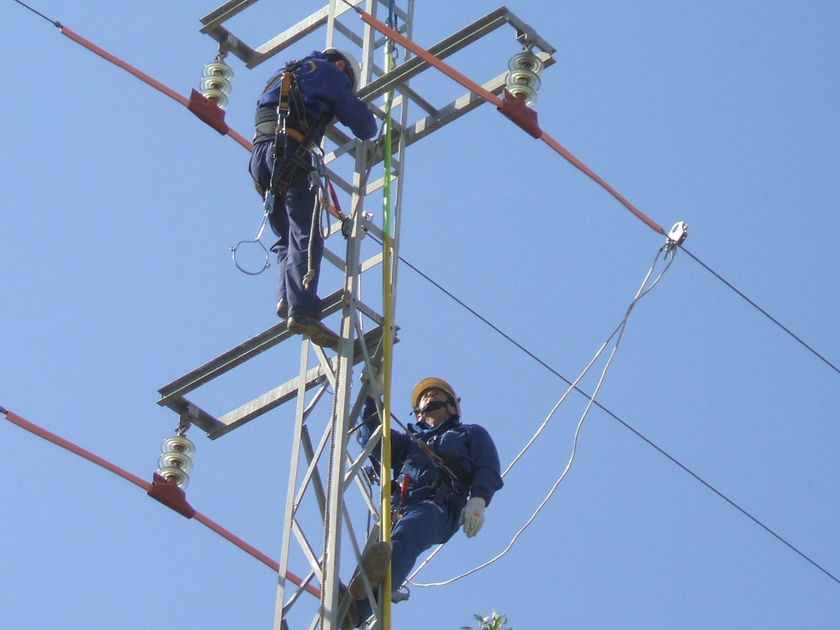 Dos operarios revisan las redes de Endesa. FOTO: Endesa