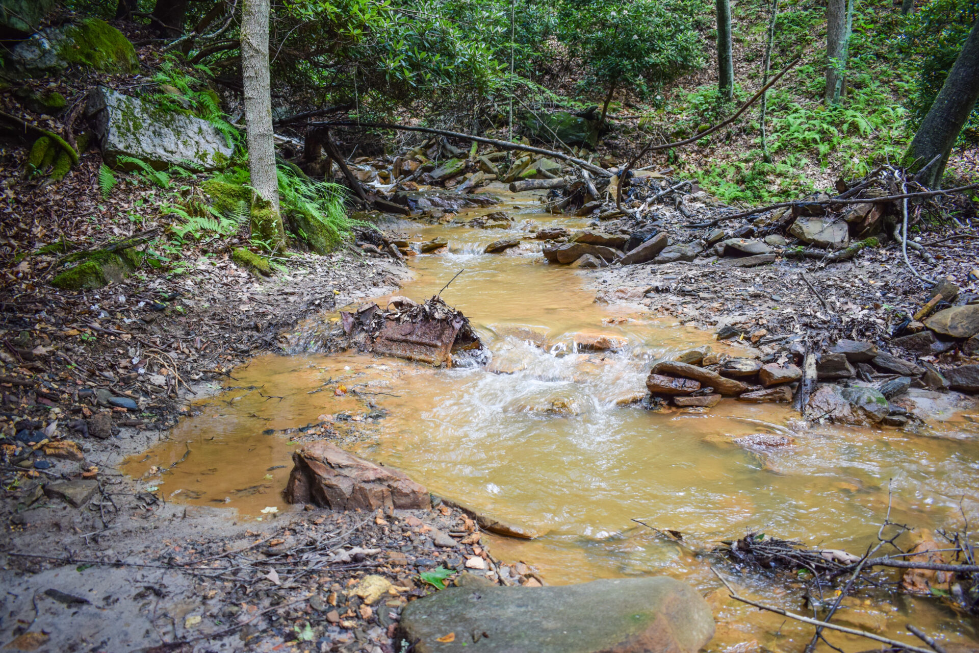 A small mountain stream flowing through the Appalachian Mountains in Pennsylvania that has been degraded by coal mining.