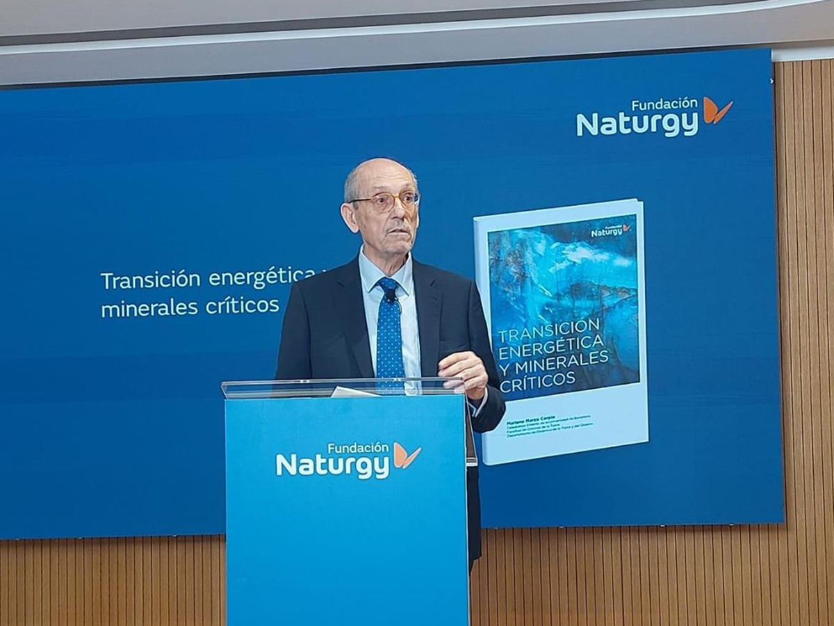 El catedrático Mariano Marzo presenta informe realizado para la Fundación Naturgy. FOTO: Fundación Naturgy