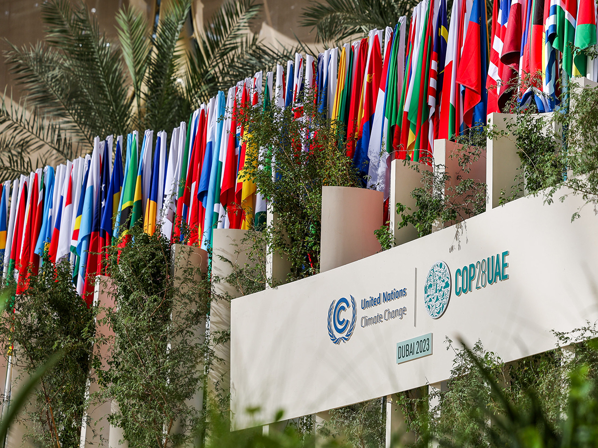 Banderas en la cumbre del clima (COP28). FOTO: COP28 / Mahmoud Khaled