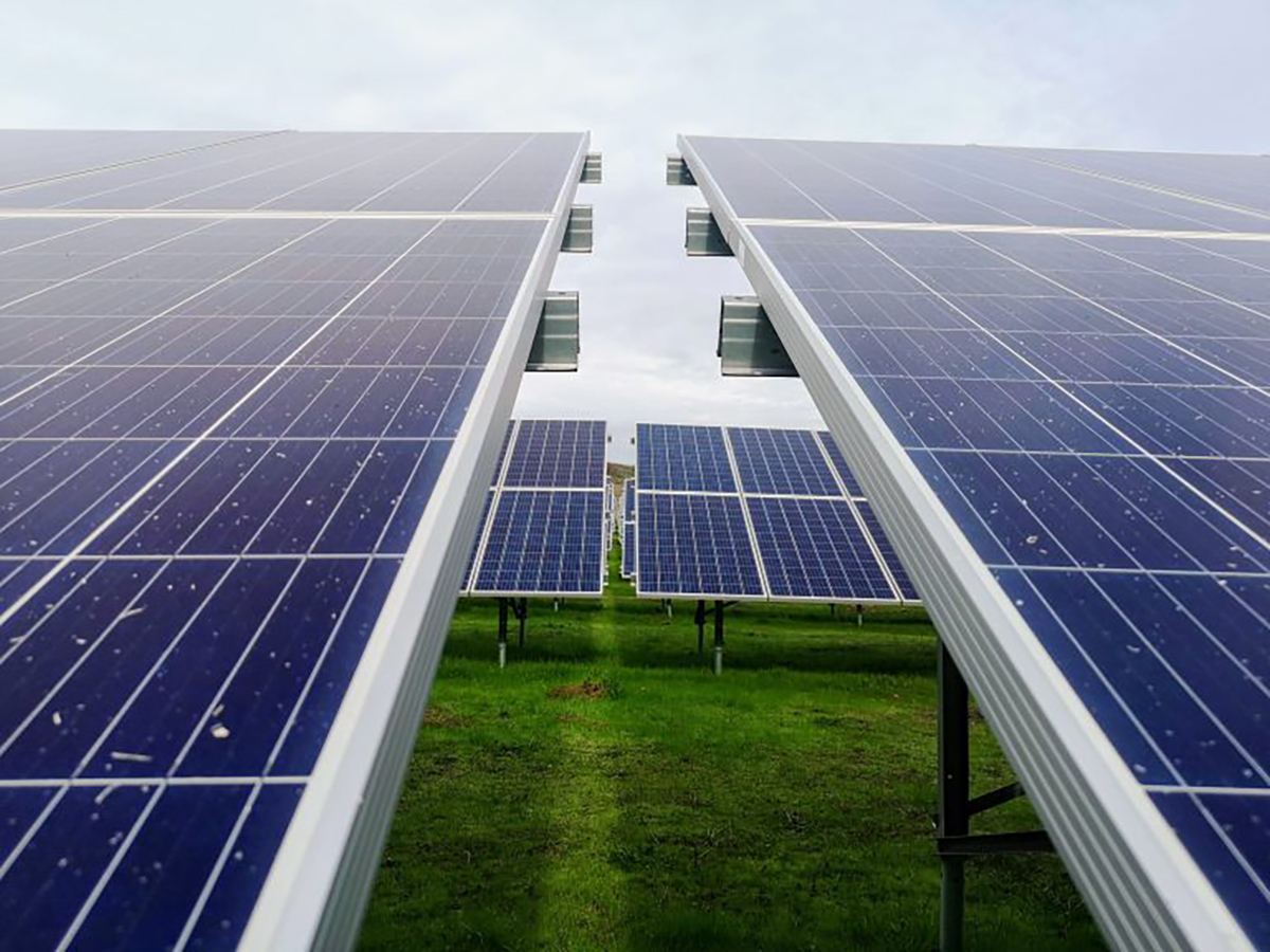 Proyecto fotovoltaico de Recurrent Energy. FOTO: Recurrent Energy
