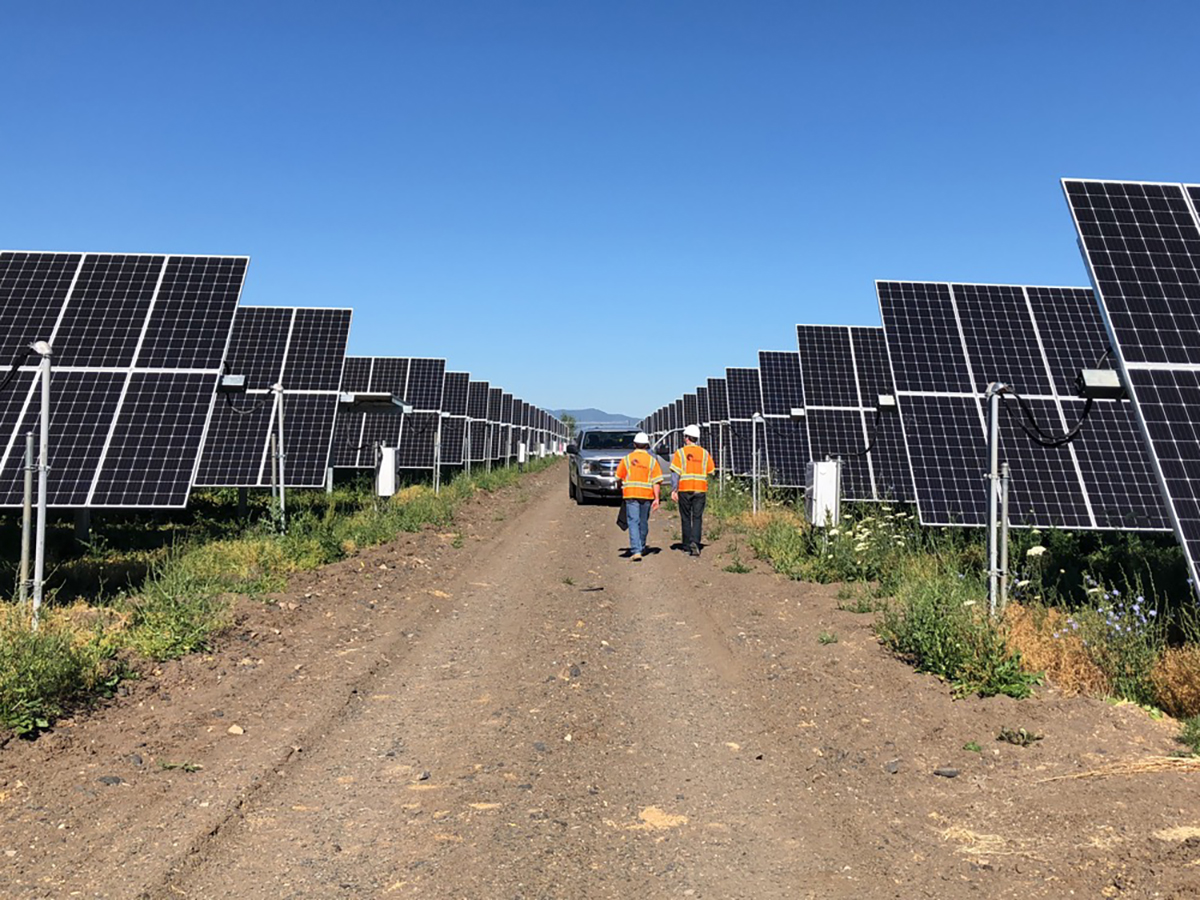 Seguidores solares de Soltec. FOTO: Soltec