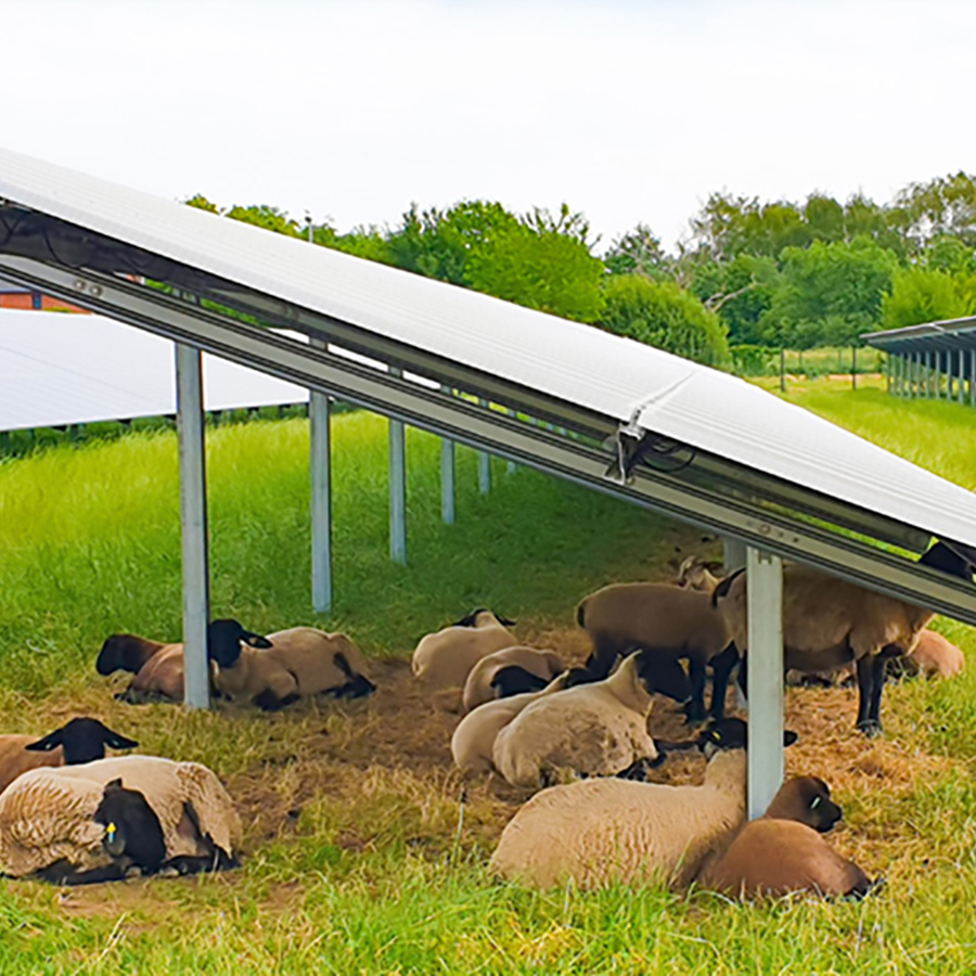 Instalaciones fotovoltaicas de ABO Wind en Alemania. FOTO: ABO Wind