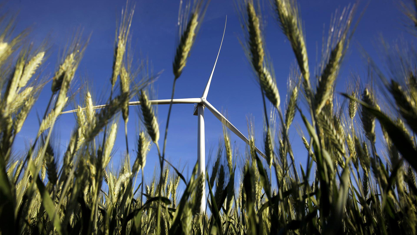 CIP firma con GE Vernova un megacontrato de 700 millones para las turbinas de un parque eólico en España.
