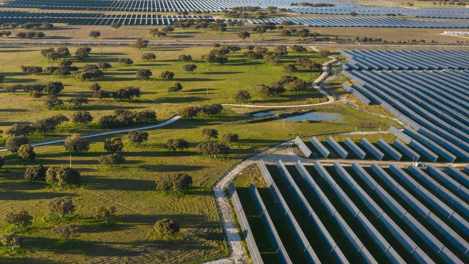 Planta solar de Statkraft en Extremadura.