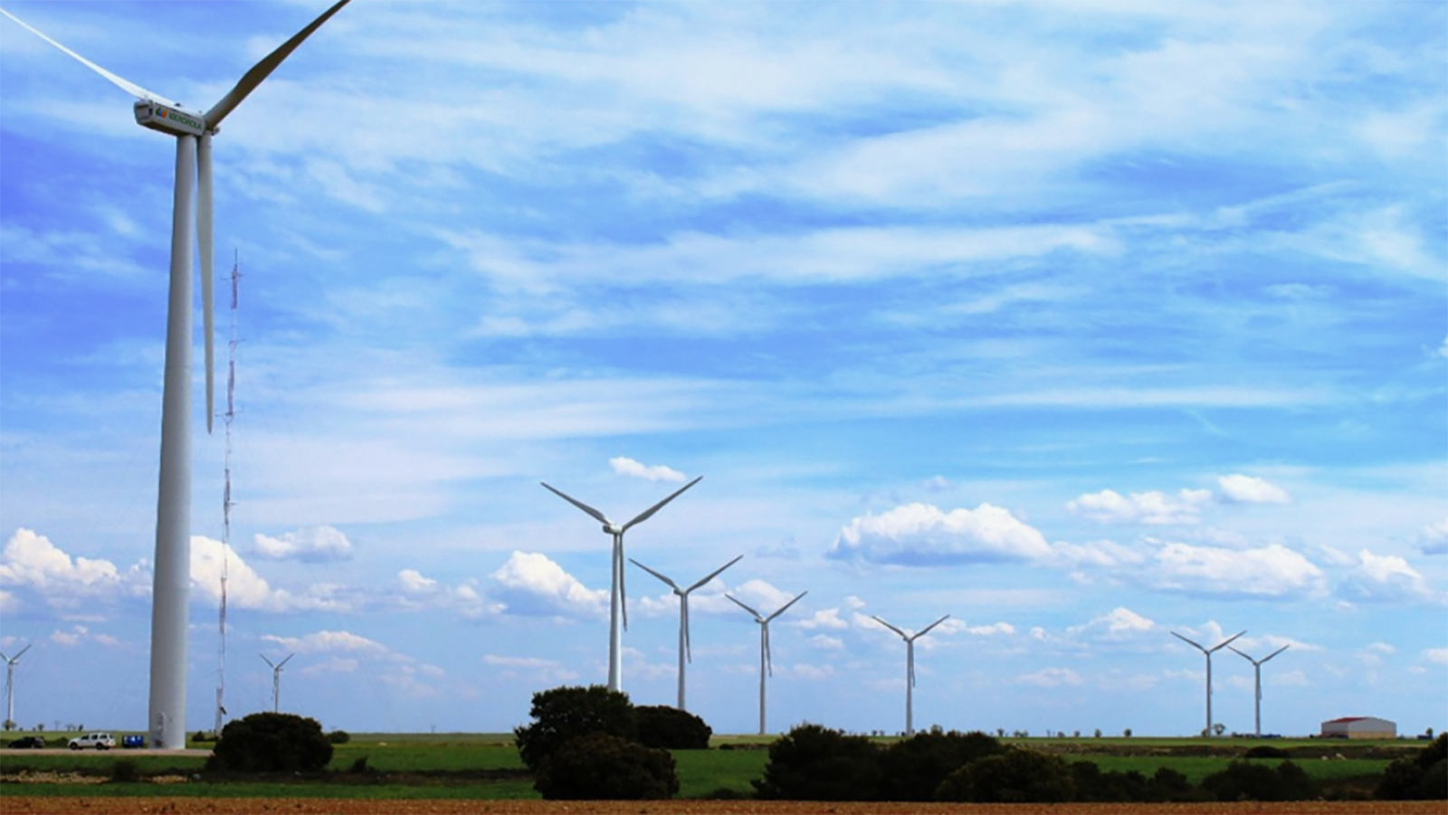 Parque eólico de Iberdrola. - Iberdrola
