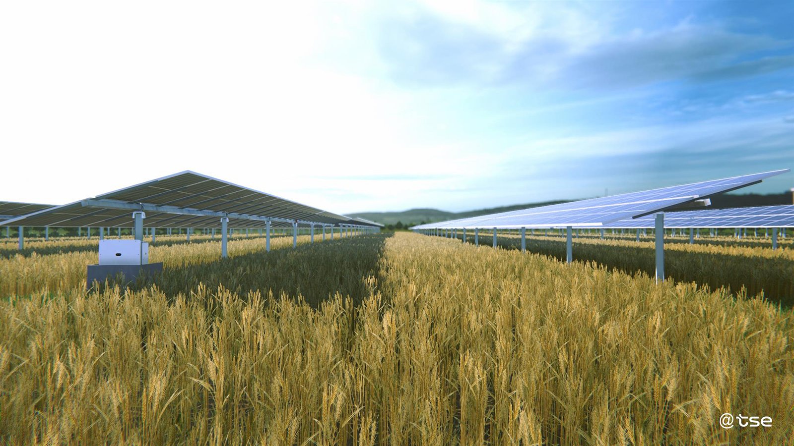 Soltec se alía con TSE para el desarrollo de productos agrivoltaicos en el mercado francés. - Soltec