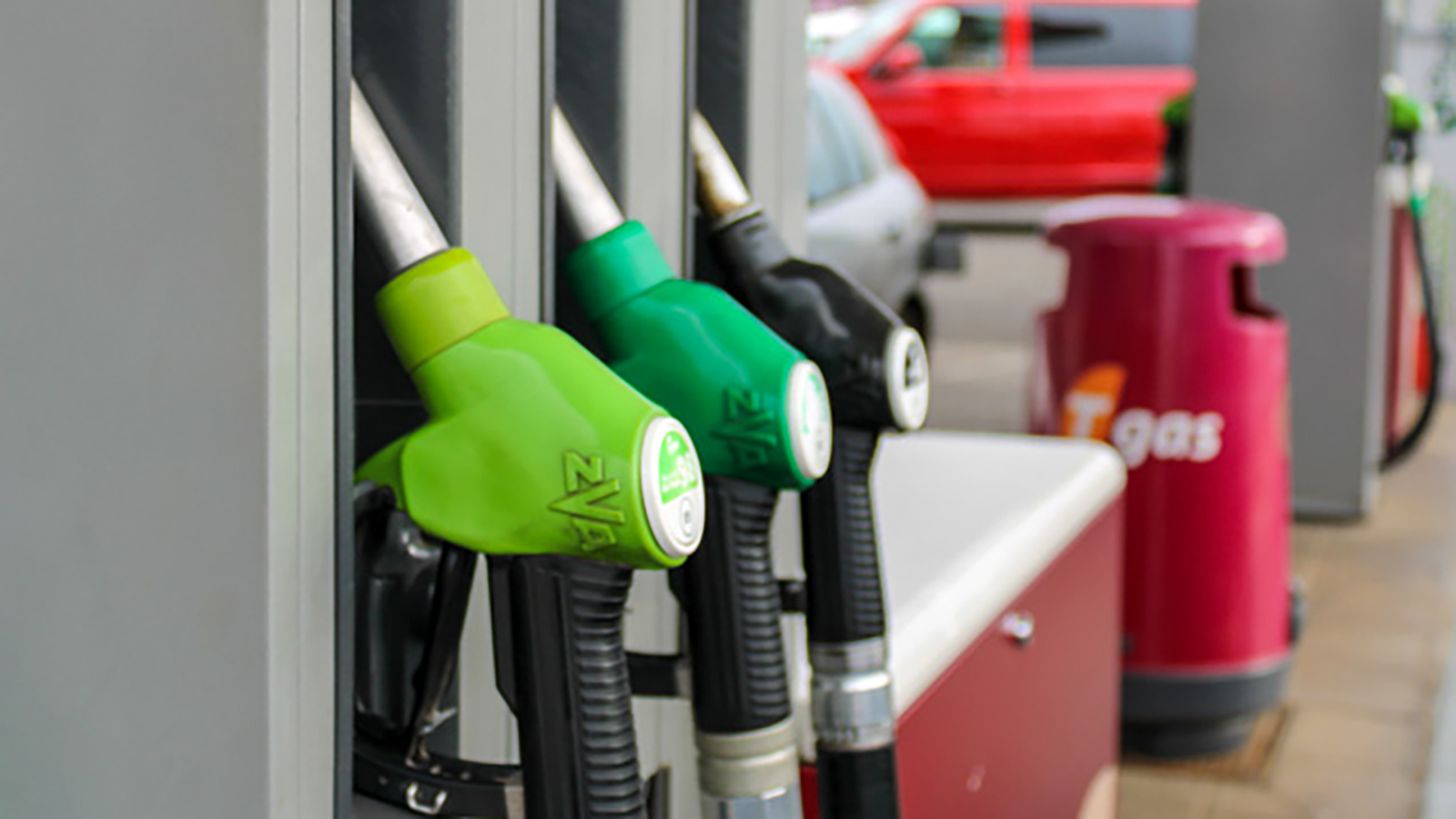 Gasolinera Tgas Los Baldíos. - Tgas