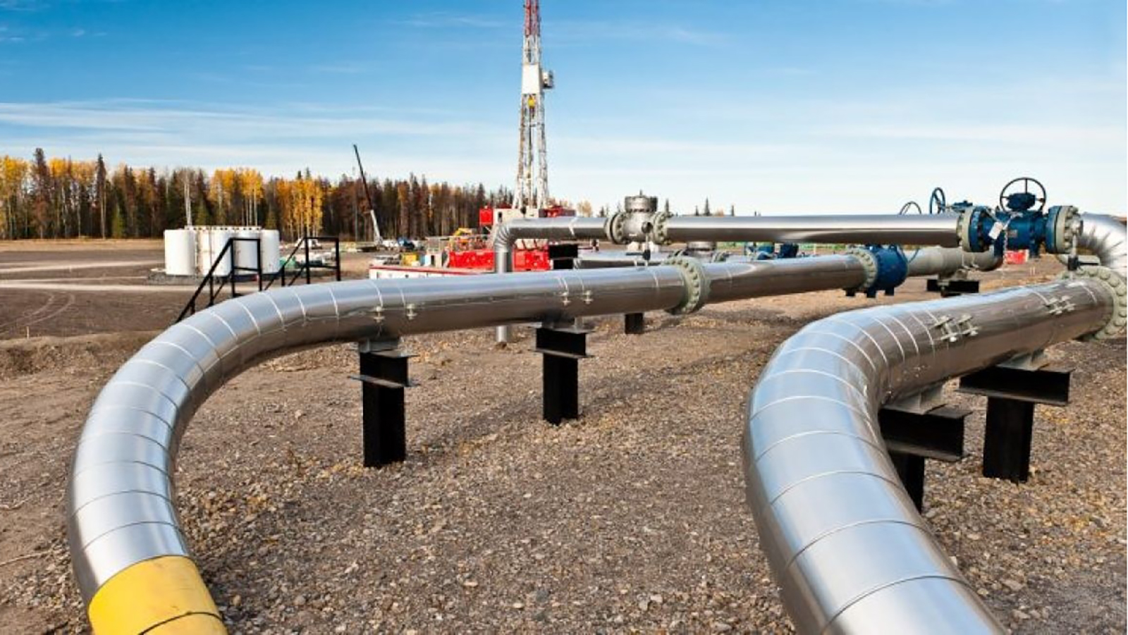 La formación de hidrocarburos no convencionales en Vaca Muerta. - Gobierno de Argentina