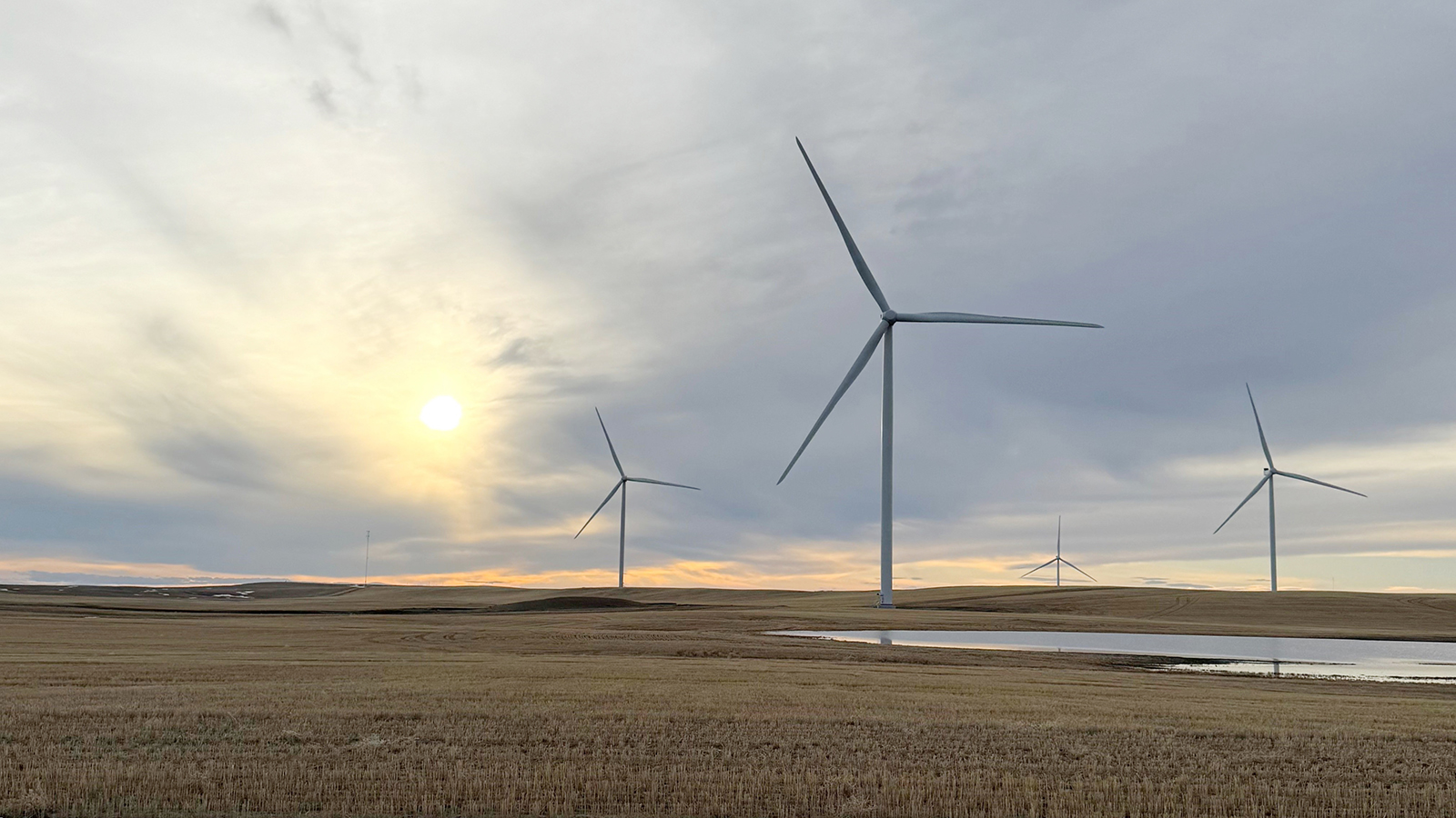 Parque eólico Forty Mile (280MW) en Alberta (Canadá) de Acciona Energía. - Acciona Energía