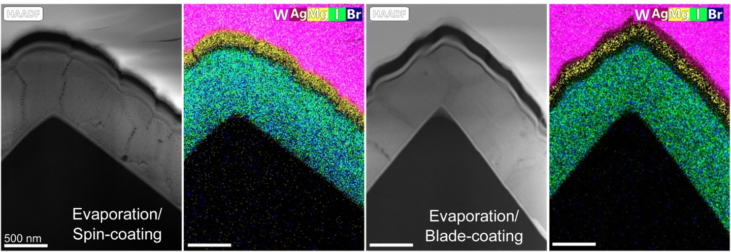 Imágenes STEM de células solares en tándem de perovskita y silicio fabricadas con un proceso híbrido de evaporación y recubrimiento por centrifugación o de evaporación y recubrimiento de láminas.  - Fraunhofer ISE