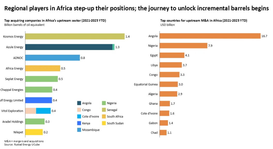  /></p><p>La brasileña <a href=