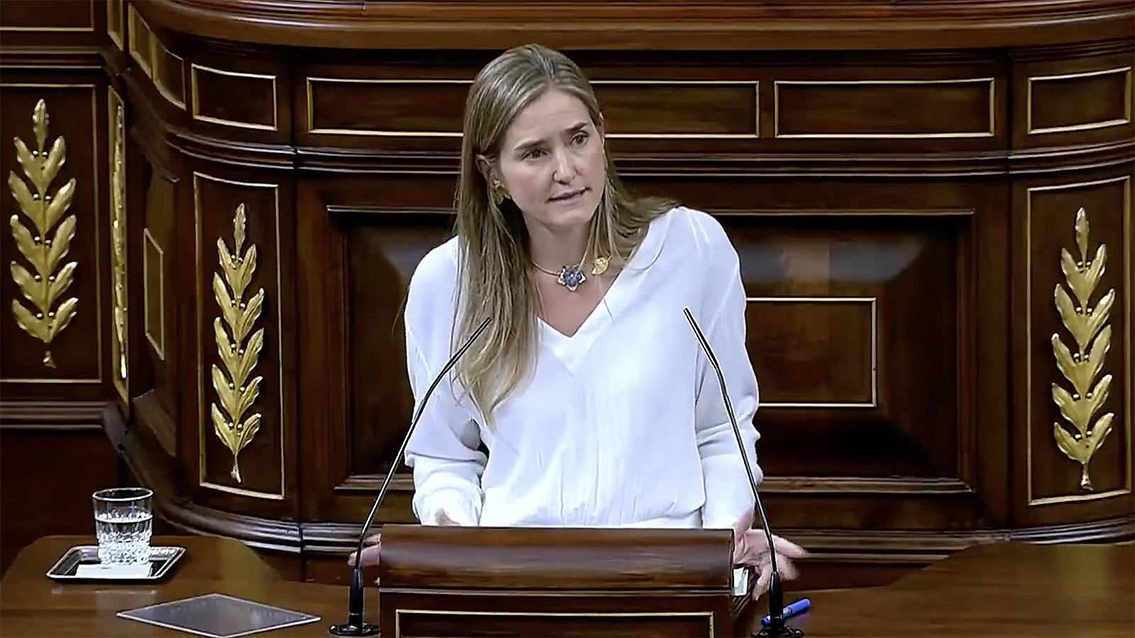 La vicepresidenta y ministra para la Transición Ecológica, Sara Aagesen. - Congreso de los Diputados