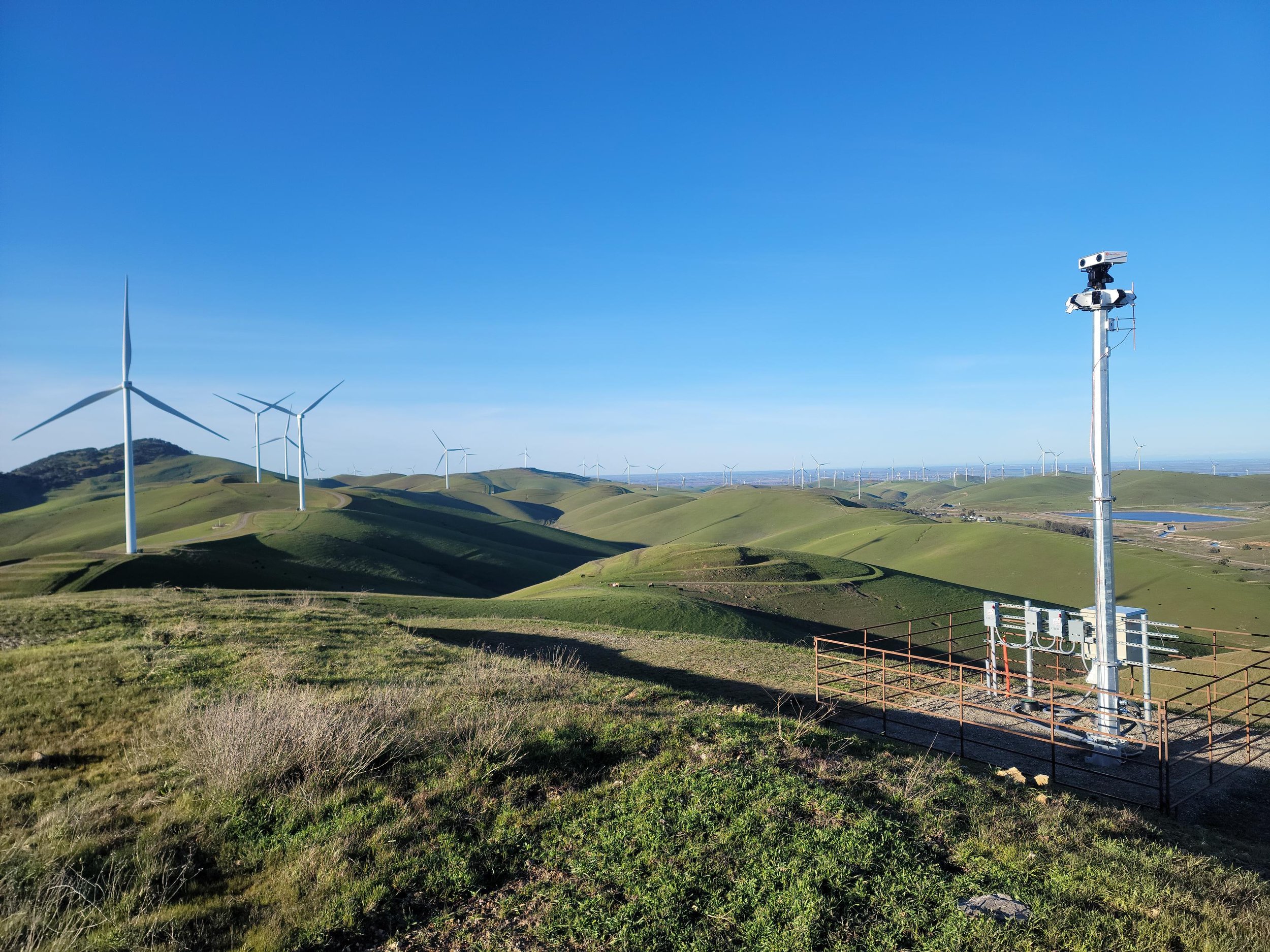 /></p><p>"La asociación con Oikon Ltd. mejora nuestra capacidad para ofrecer tecnología impulsada por la conservación donde más se necesita", dijo Don Mills, presidente y director de operaciones de Boulder Imaging. "Juntos, estamos avanzando en el rol de la inteligencia artificial (IA) en la protección de la biodiversidad y acelerando el crecimiento responsable de la energía eólica en Croacia y más allá".</p>
<p>Con más de 520 sistemas implementados en los cinco continentes, IdentiFlight ha reducido las muertes de aves en más del 85% al tiempo que mantiene una pérdida de generación de energía de menos del 1% en los parques eólicos. Los primeros sistemas en Croacia están planificados para 2026, con un enfoque inicial en corredores migratorios sensibles y terrenos ecológicamente valiosos.</p></div></body></html>