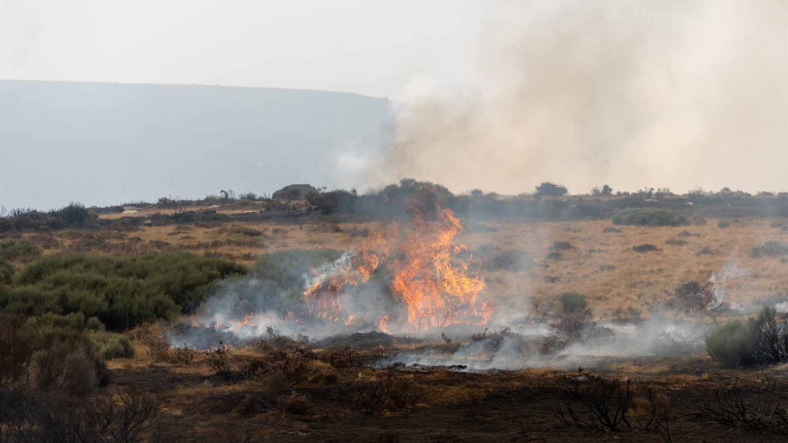 Incendio forestal declarado en el municipio zamorano de Porto. - Emilio Fraile - Europa Press