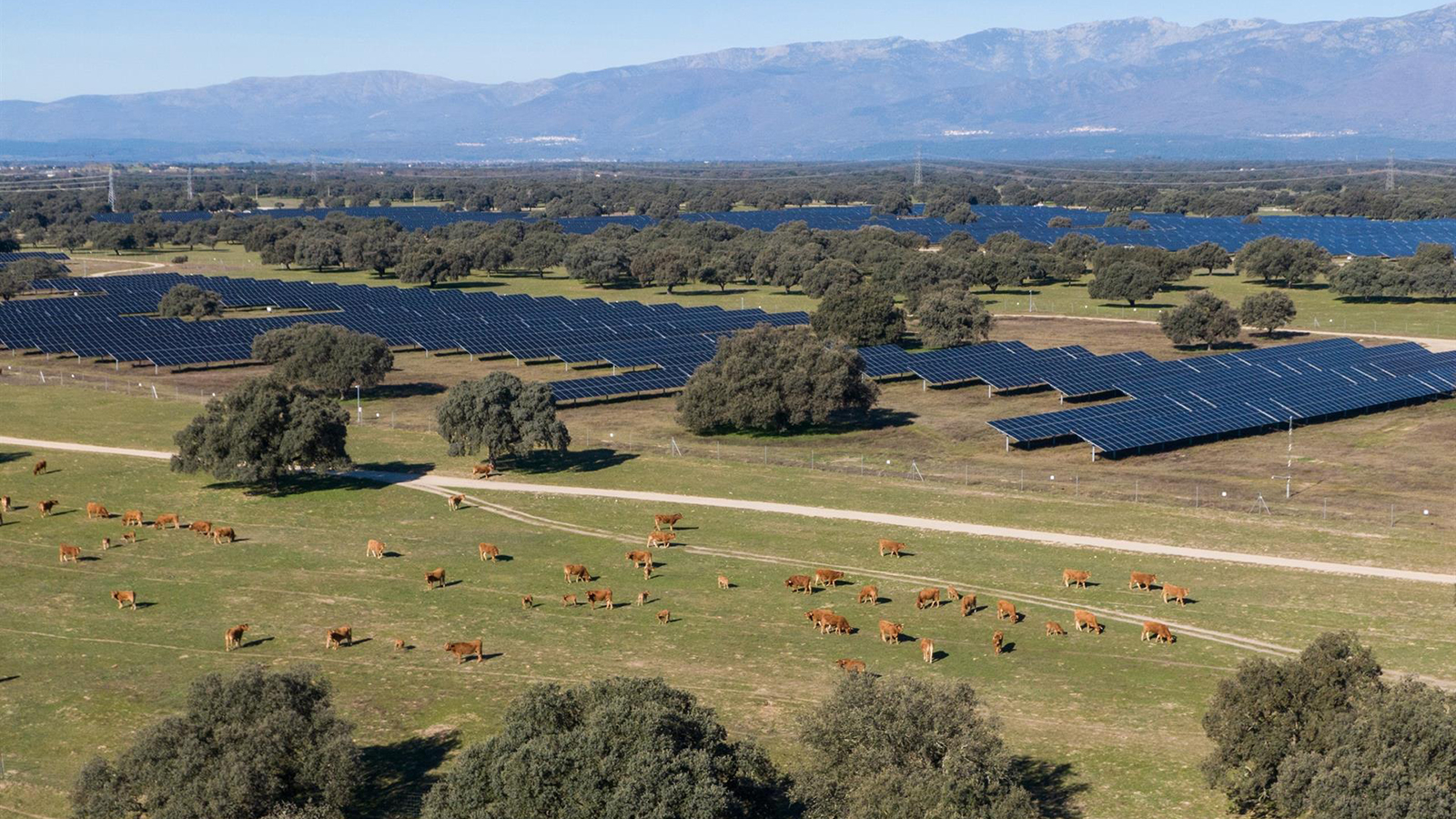Statkraft logra la autorización ambiental para su planta solar Pinea en Extremadura, de 150 MW. - Statkraft