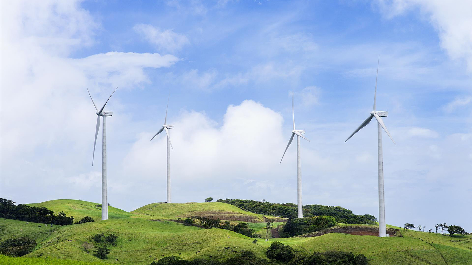 Parque eólico Chiripa de Acciona Energía. - Acciona Energía